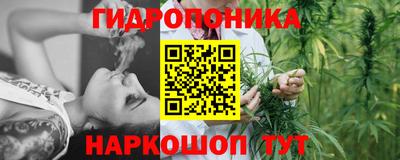 прущие крисы Лениногорск