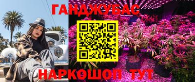 прущие крисы Лениногорск