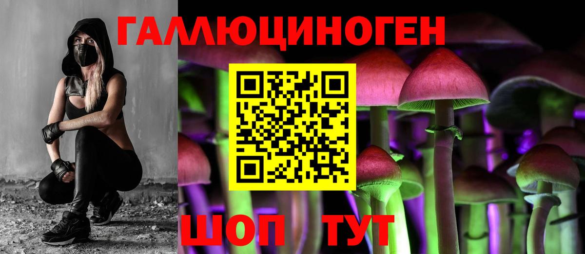Галлюциногенные грибы Psilocybine cubensis Губаха