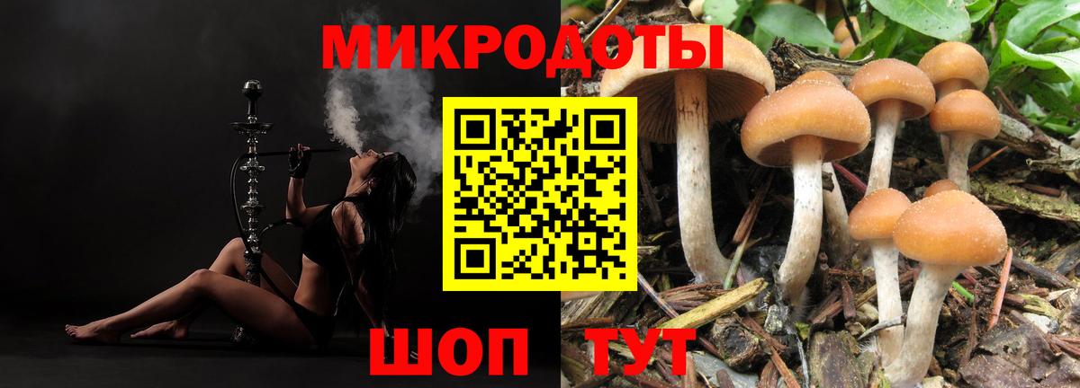 Губаха  Галлюциногенные грибы Psilocybe  наркота  Вход с VPN 